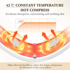 ANLAN V-Face Lifting Beauty Device 4-pole Double Chin Remove EMS Facial Slimming